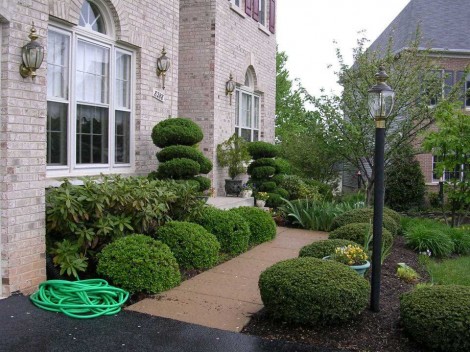 Landscape Design