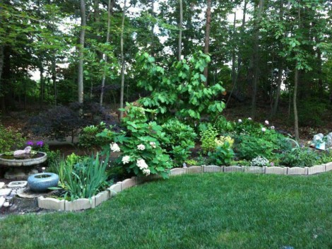 Landscape Design Clifton VA