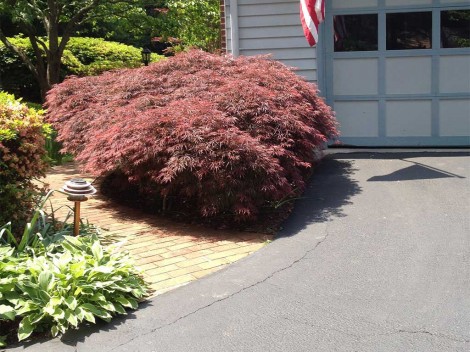 Landscape Design Lorton VA