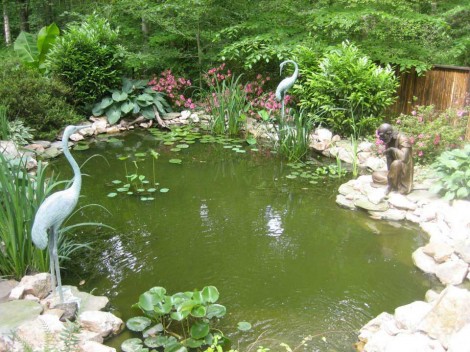 Manassas VA Landscape Design